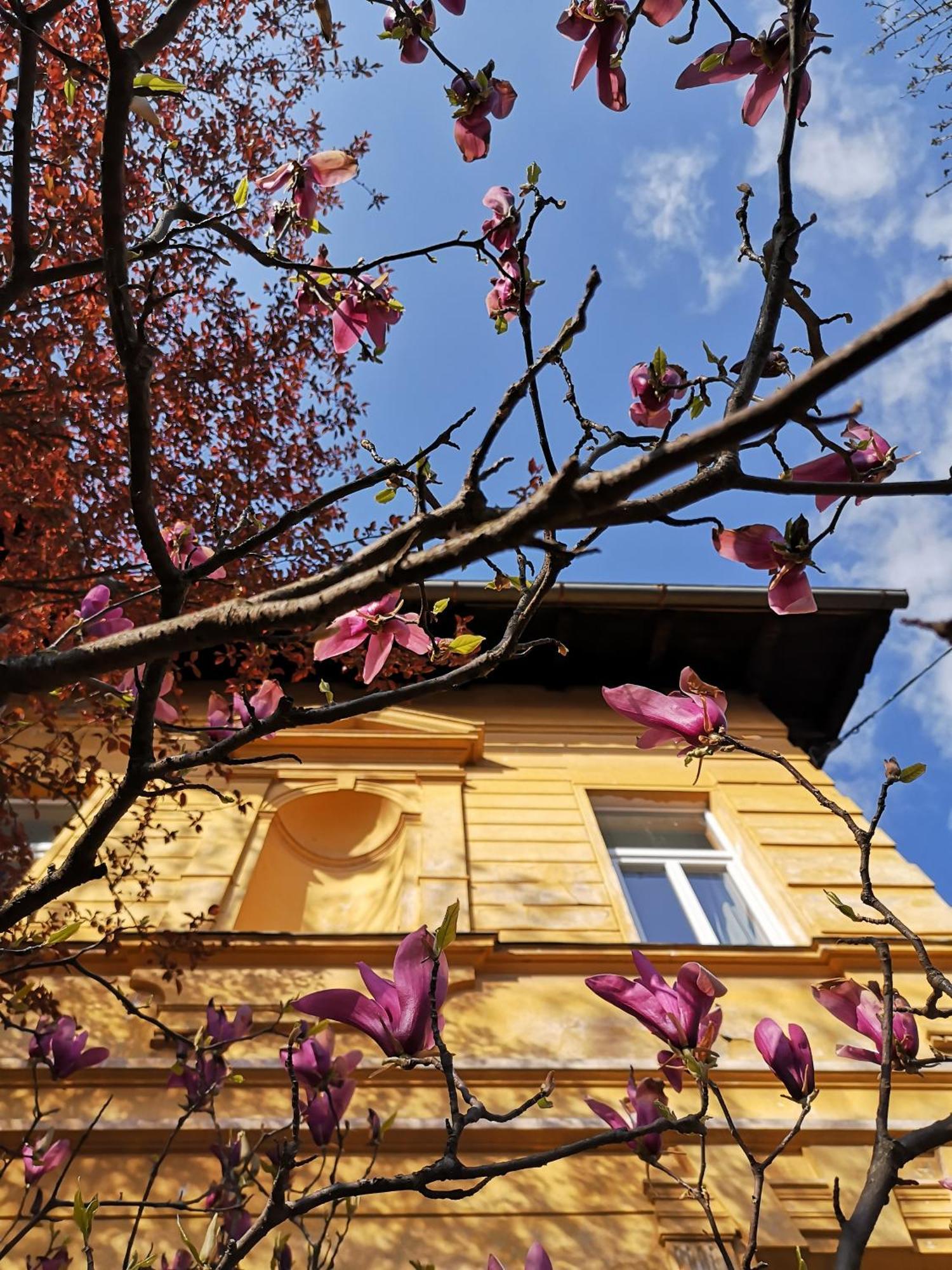 The Villa, Ljubljana City Center Εξωτερικό φωτογραφία